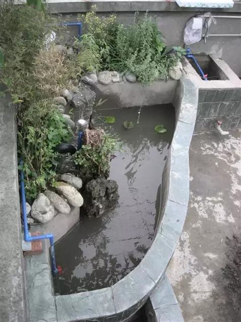 戶外魚池造景|史上最強陽台魚池建造全過程（自製超強過濾系統）